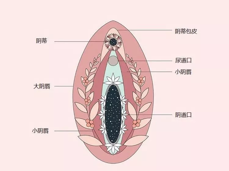 如何刺激小豆豆才有快感