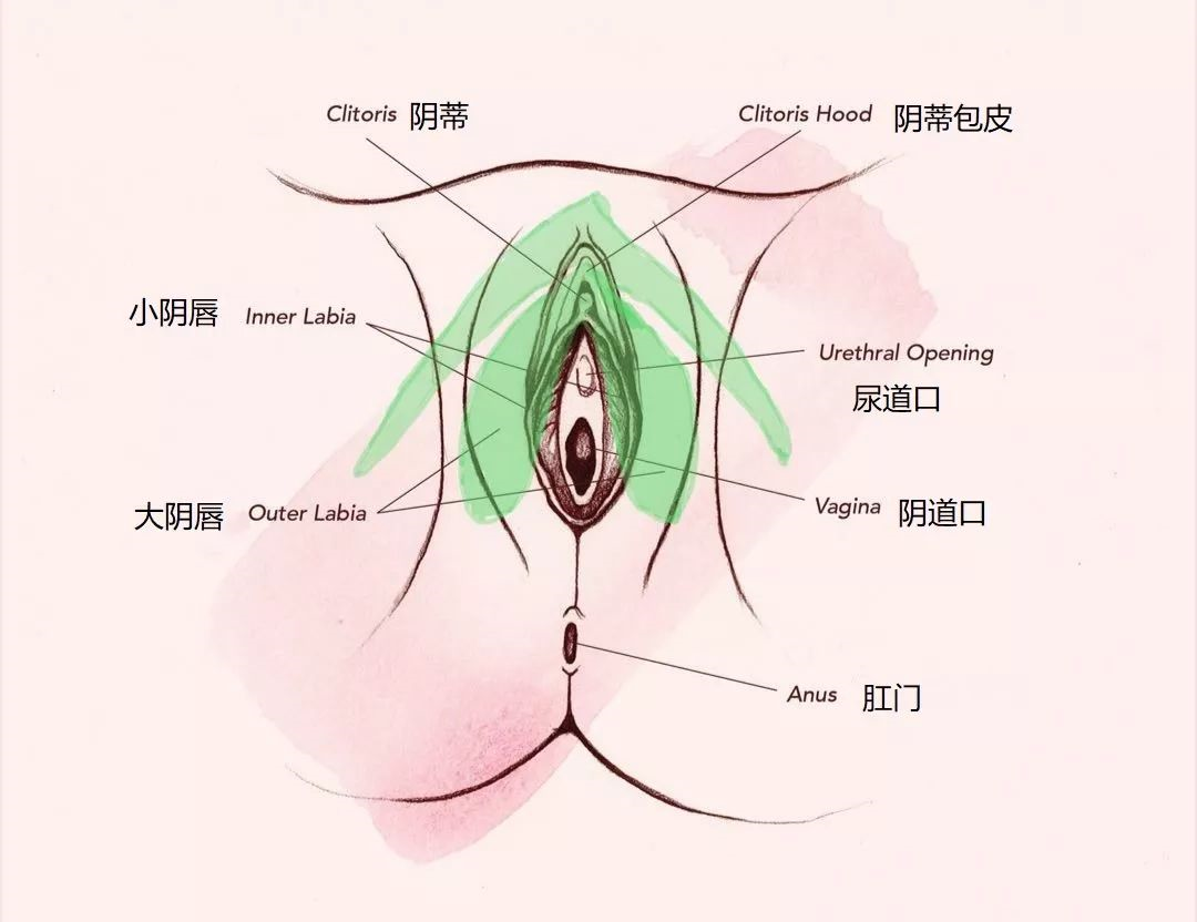 阴di在哪里