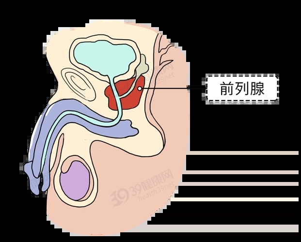 前列腺糕潮是什么感觉？