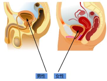 QQ截图20230313152024.jpg