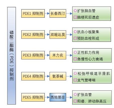 西地那非是伟哥的学名吗