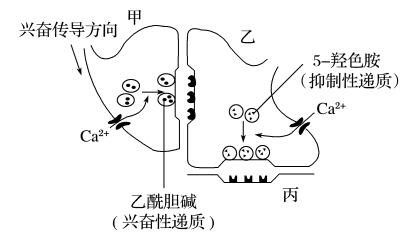 达泊西丁能根治早射吗