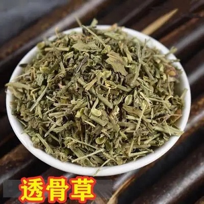 黑蚂蚁透骨草喷剂是真的还是假的