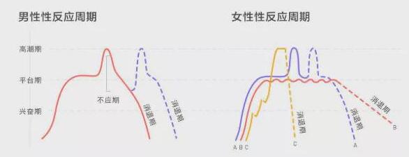 舒服但没有高c是因为什么