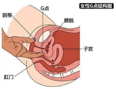 JJ的长度从哪里开始量