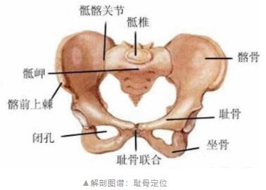 男生亲亲过后为什么小腹会疼