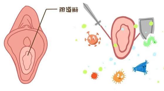 怎样辨别女生是不是处