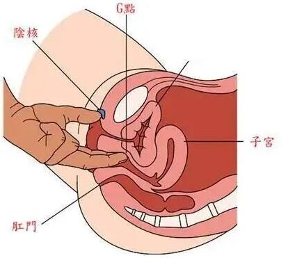 G位的准确位置图解