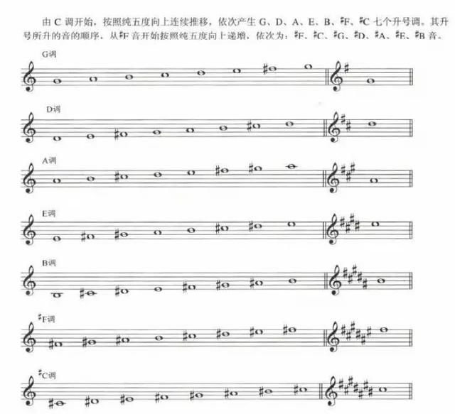 六线谱常用音符（史上最详细的五线谱音符）(42)