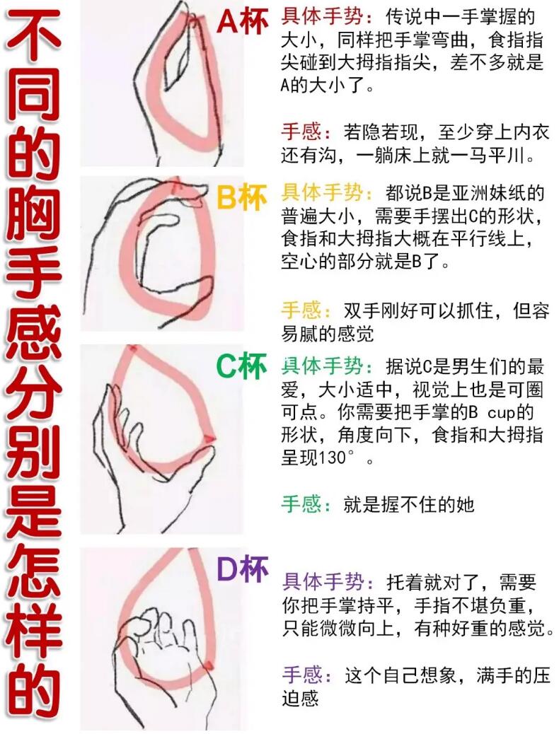 为什么胸大的女人对男人有很大的吸引力1