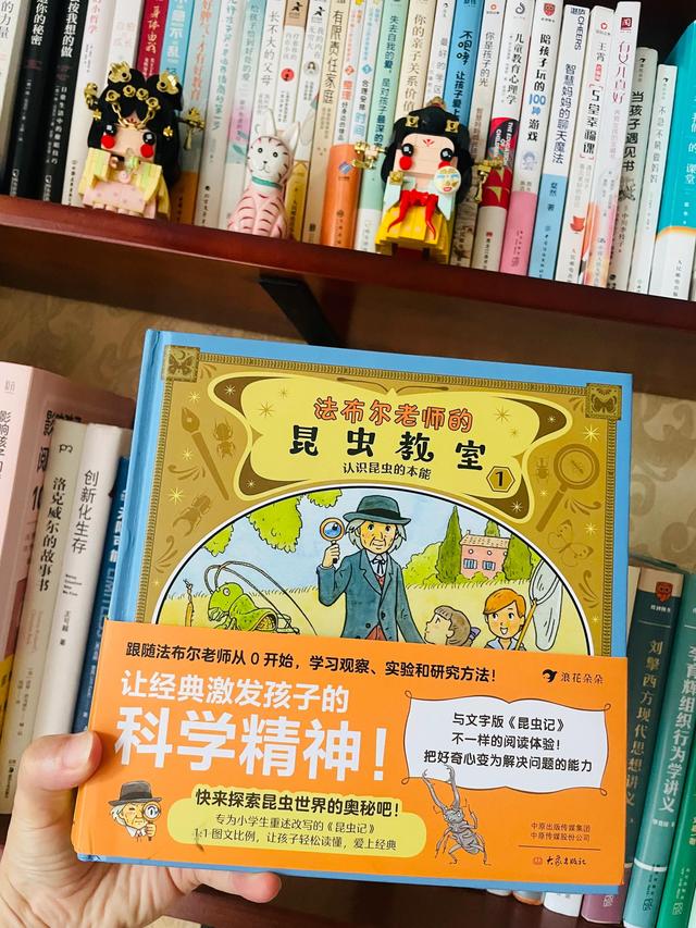 哪个版本的昆虫记适合小学生阅读（昆虫记孩子读不懂）(3)