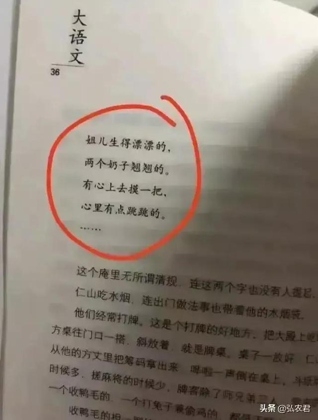 毒教材的结局（情欲是文学中的组成）(4)