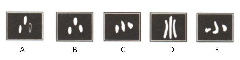 世界上最简单的100个汉字（世界上最独特的文字）(9)