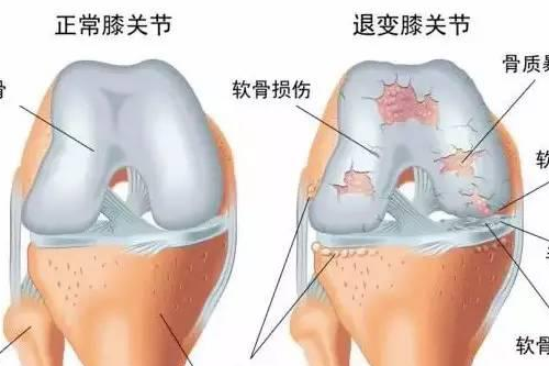 图像 036