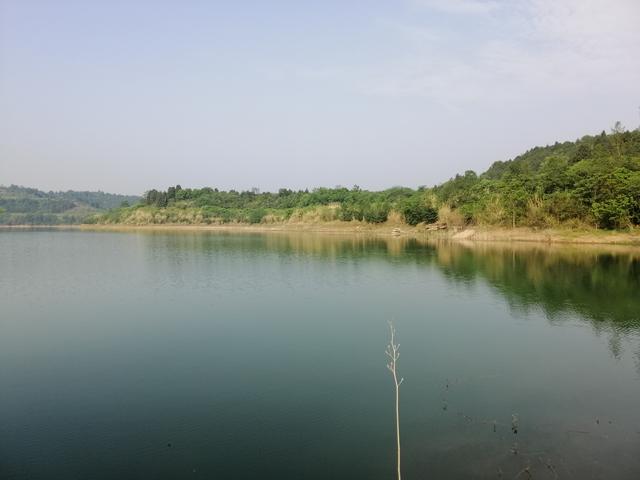 松花湖野生鱼介绍（与仙海湖的第一次亲密接触）(5)