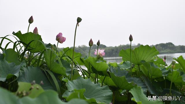 电脑壁纸超清风景8k 原图高级感（2023年你的电脑屏幕绝美壁纸）(76)