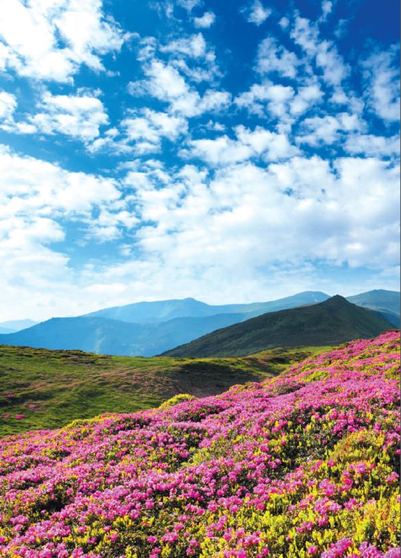 四川石门子风景区（天府古镇探索之旅）(2)