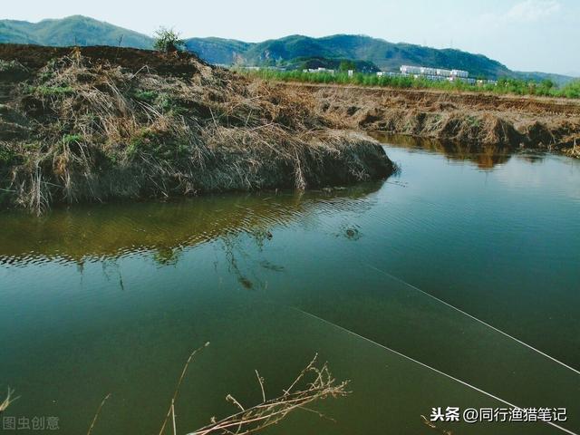 用蚯蚓钓鱼怎么选择钓位（用蚯蚓钓鱼也有讲究）(2)