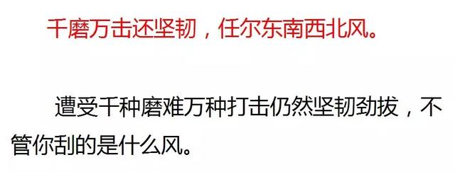 语文六年级下册石灰吟的预习（人教版六年级下册石灰吟竹石知识整理）(19)