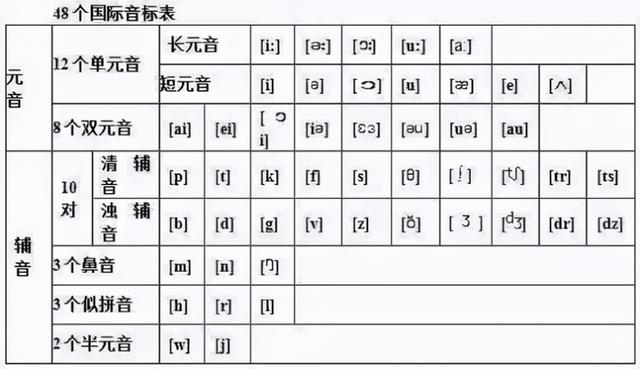 学自然拼读好还是音标好（自然拼读和音标有什么区别）(2)