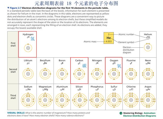 拉丁语语法常识（拉丁语常识有轻松学习外语和数理化的宝贝）(3)