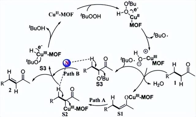 活化能和催化反应机理图像（Chem.Soc.Rev.综述）(4)