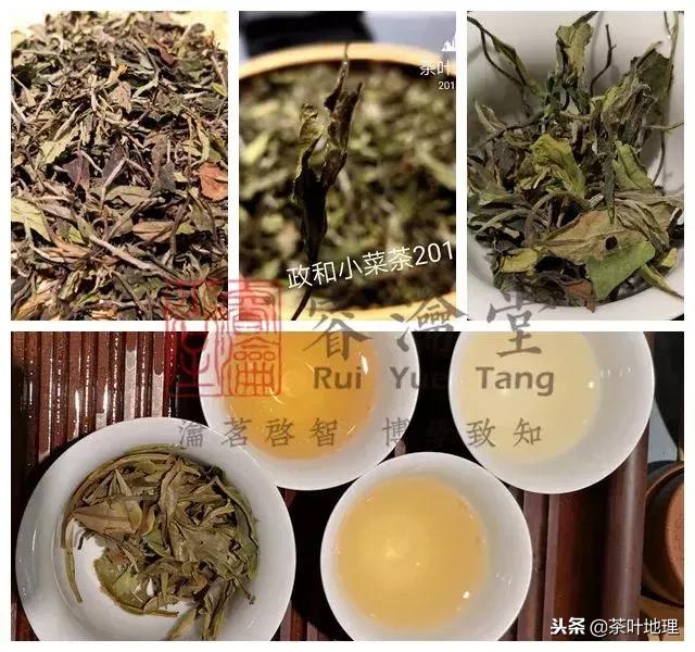 白茶100个品种（白茶品种四大天王）(12)