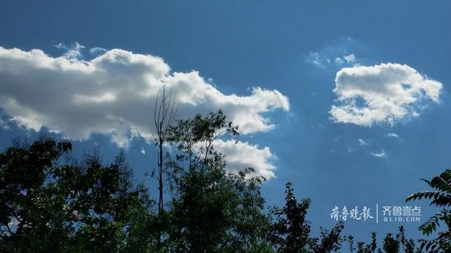 济南南山好景致（济南南山现空山新雨后）(2)