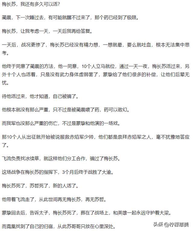 琅琊榜中梅长苏结局如何（琅琊榜中梅长苏最后的结局到底是怎么样的）(13)