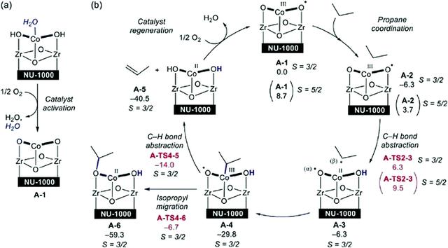 活化能和催化反应机理图像（Chem.Soc.Rev.综述）(3)