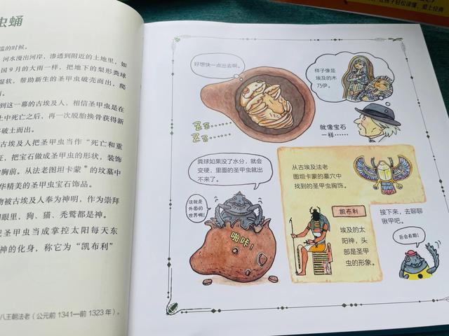 哪个版本的昆虫记适合小学生阅读（昆虫记孩子读不懂）(9)