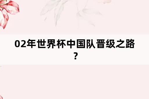 02年世界杯中国队晋级之路？