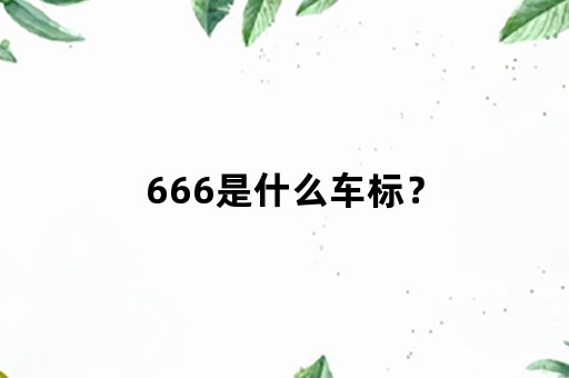 666是什么车标？