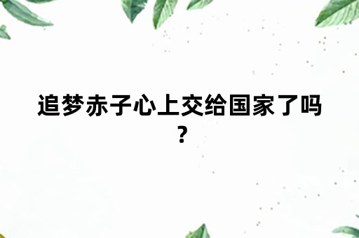 追梦赤子心上交给国家了吗？