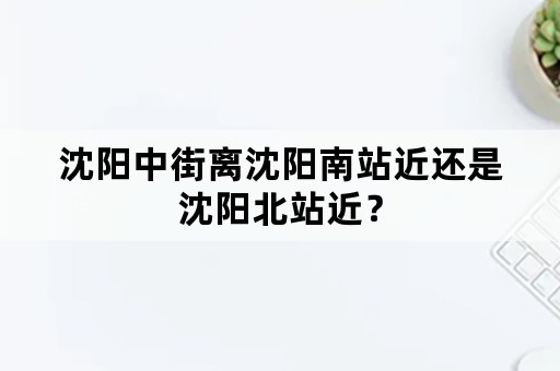 沈阳中街离沈阳南站近还是沈阳北站近？