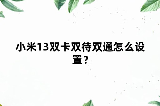 小米13双卡双待双通怎么设置？