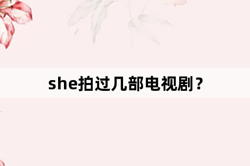 she拍过几部电视剧？