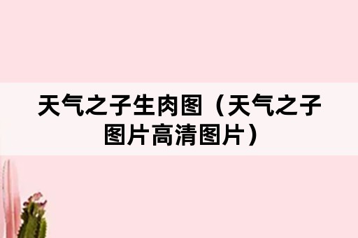 天气之子生肉图（天气之子图片高清图片）