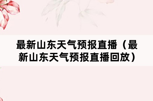 最新山东天气预报直播（最新山东天气预报直播回放）