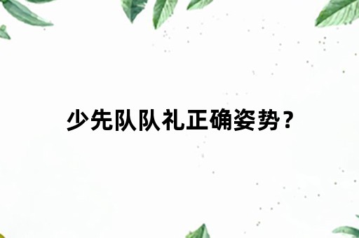 少先队队礼正确姿势？