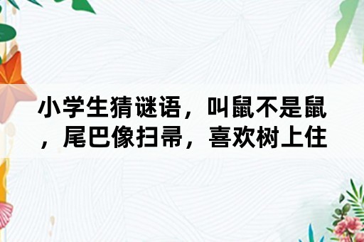 小学生猜谜语，叫鼠不是鼠，尾巴像扫帚，喜欢树上住，松果当食物？