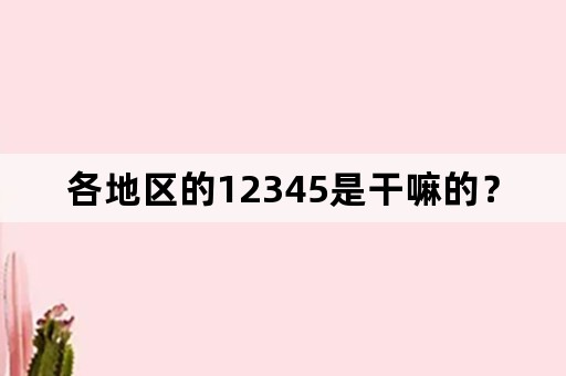 各地区的12345是干嘛的？