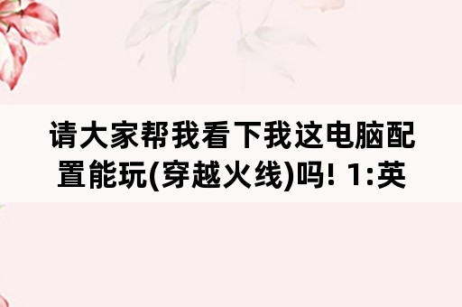 请大家帮我看下我这电脑配置能玩(穿越火线)吗! 1:英特尔奔腾处理器P6100 2:2G内存3:500G硬盘？