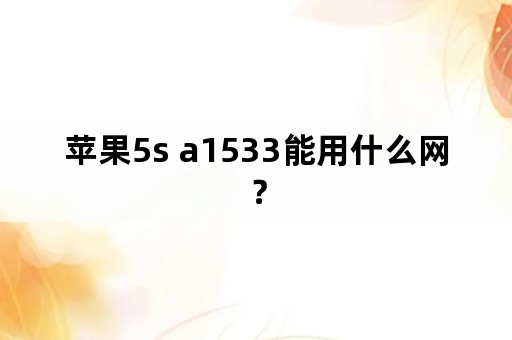 苹果5s a1533能用什么网？