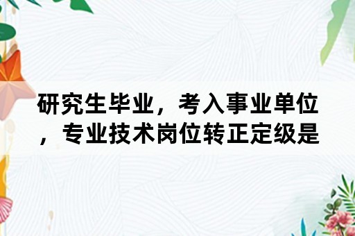 研究生毕业，考入事业单位，专业技术岗位转正定级是多少级？