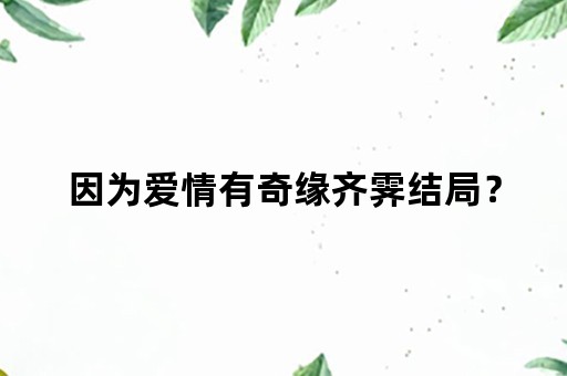 因为爱情有奇缘齐霁结局？