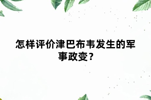 怎样评价津巴布韦发生的军事政变？