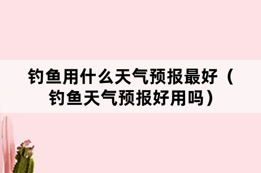 钓鱼用什么天气预报最好（钓鱼天气预报好用吗）