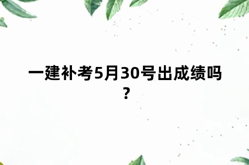 一建补考5月30号出成绩吗？