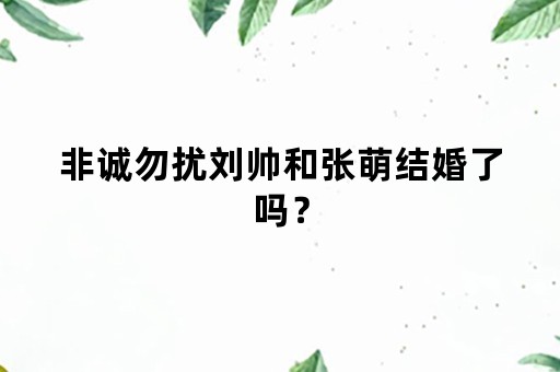 非诚勿扰刘帅和张萌结婚了吗？